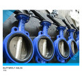 API Cast Iron/Steel, Flanged/Lug/Wafer Butterfly Valve